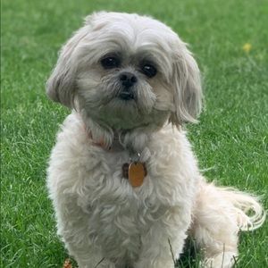 Meet your Posher, Lisa